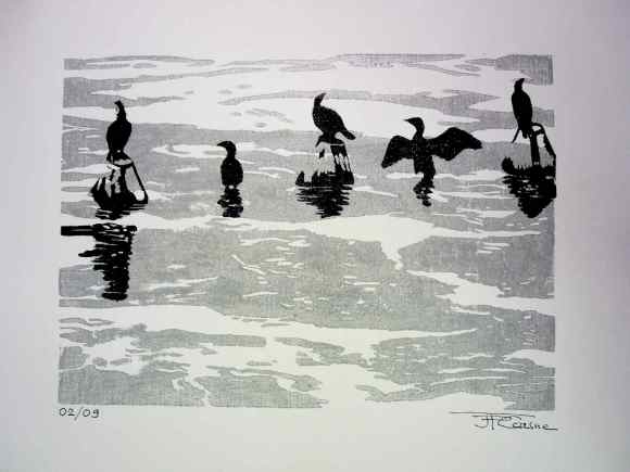 cormorans sur toile