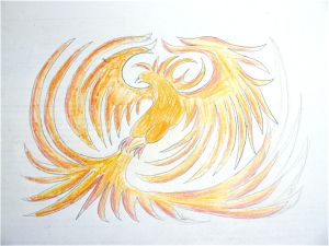 phoenix gauche